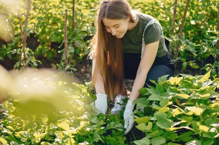 Horticulturalist tending to a beautiful garden