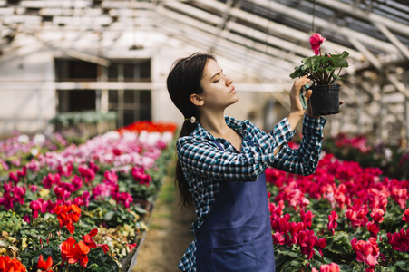 rofessional horticulture creating a stunning commercial landscape