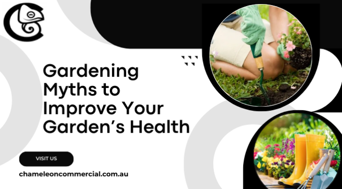 Debunking Common Gardening Myths to Improve Your Garden’s Health